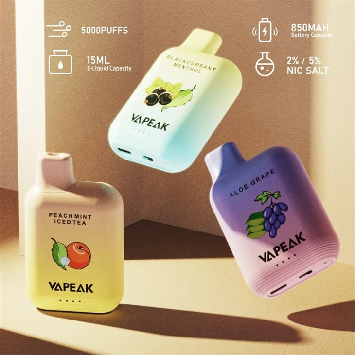 VAPEAK GRAND 5000puffs Disposable Vape VAPEAK GRAND 5000puffs Disposable Vape