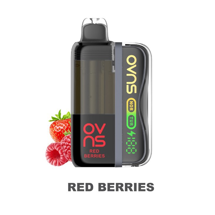 OVNS Ranger X 50k 40000 Puffs Disposable Vape best